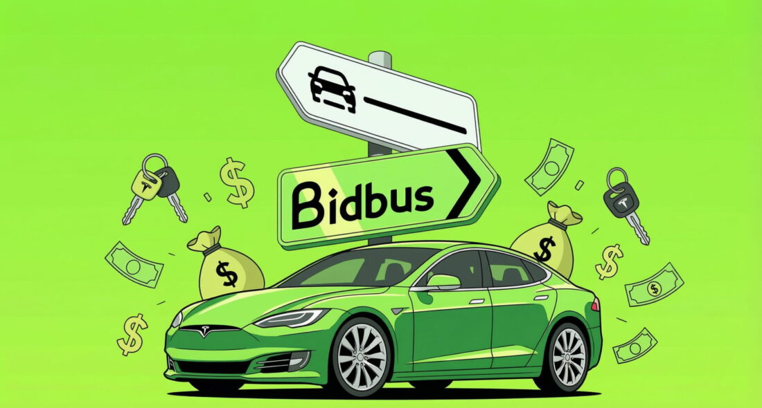 Marketplace Bidbus per auto usate