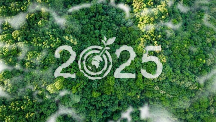 Engineering Bilancio di Sostenibilità 2025