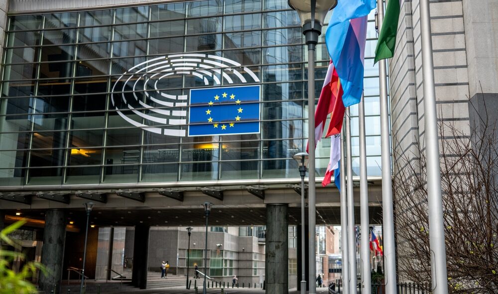 Immagine rappresentativa dell'indagine sul partito Esn