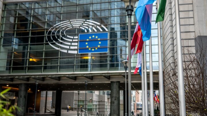 Immagine rappresentativa dell'indagine sul partito Esn