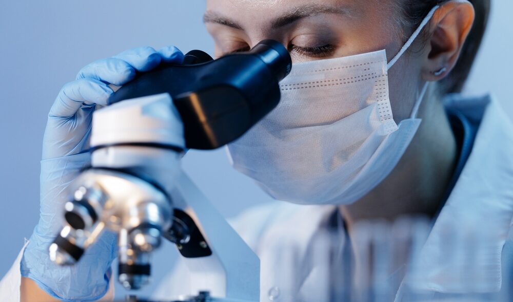 Ricercatori dell'Ifom al lavoro su cellule staminali