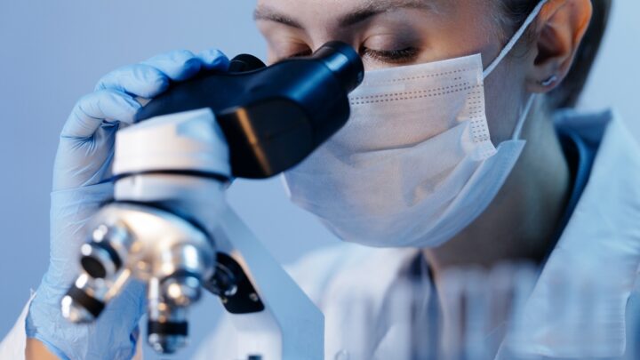 Ricercatori dell'Ifom al lavoro su cellule staminali