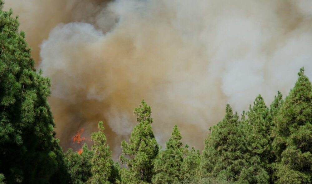Incendi nella Gironda