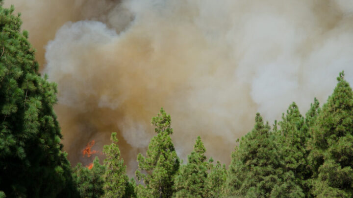 Incendi nella Gironda