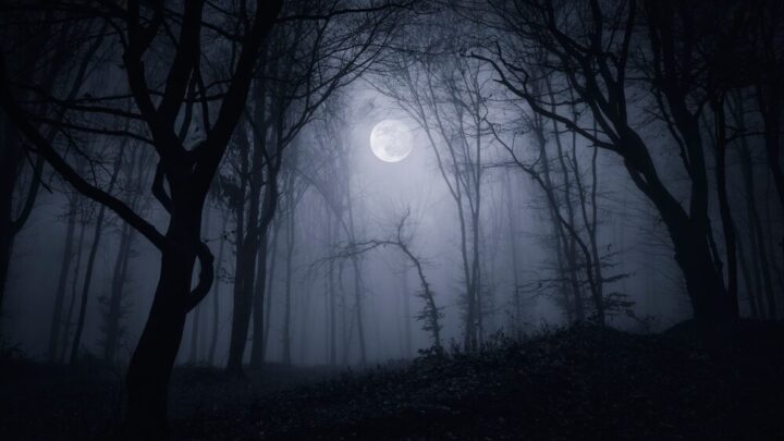 Silent Hill: Townfall - Gioco Horror in Prima Persona
