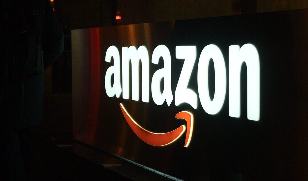 Amazon e il rapporto GAO su Medicaid e SNAP