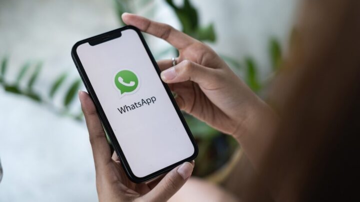 Screenshot della nuova scheda 'Tu' di WhatsApp su iOS