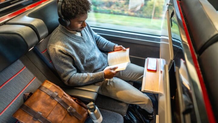 Trasporto pubblico locale in Italia